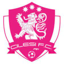 https://img.xianshei.com/img/football/team/7aa0eae9d284e6aab302a00cb5107481.png