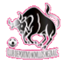 https://img.xianshei.com/img/football/team/97c3ef30cac48cadff97605e387feefa.png